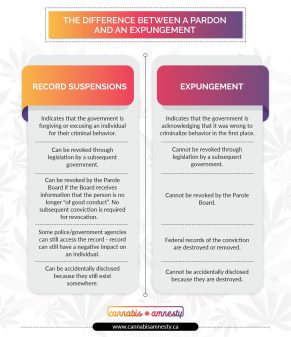 Submissions Campaign for Cannabis-Amnesty